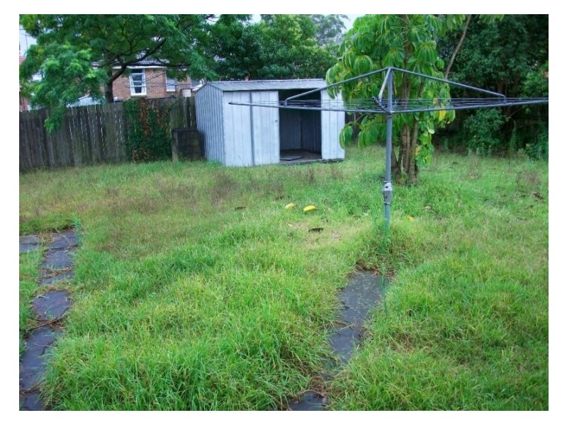 12 Hedley Avenue, Riverwood NSW 2210