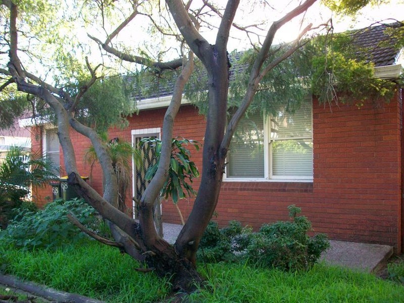 68 Lawrence Street, Peakhurst NSW 2210