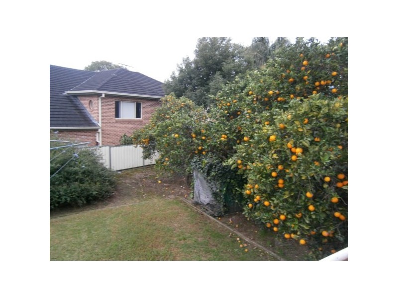 20 Peake Pde, Peakhurst NSW 2210