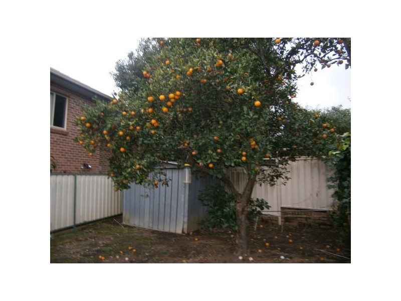 20 Peake Pde, Peakhurst NSW 2210