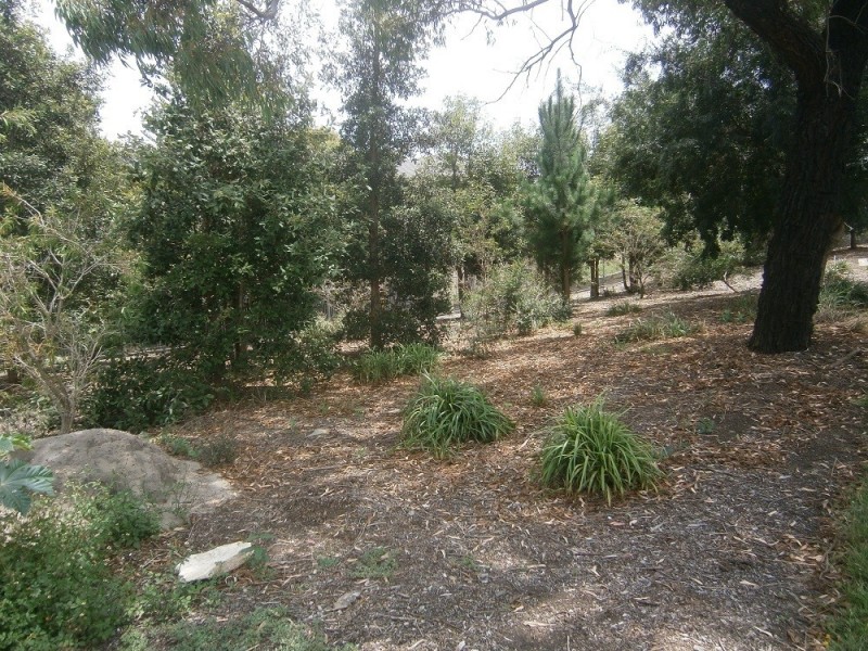 179 Gloucester Road, Hurstville NSW 2220