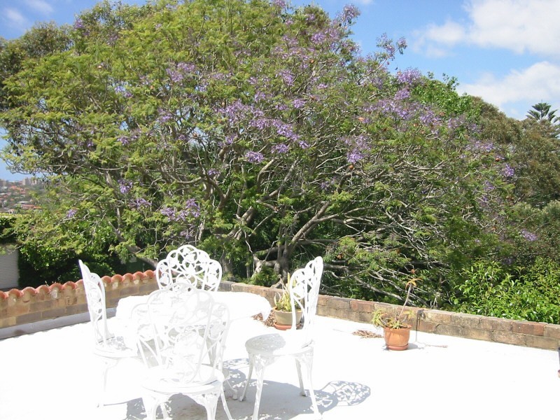 Granny Flat at Seaforth Bluff, Seaforth NSW 2092