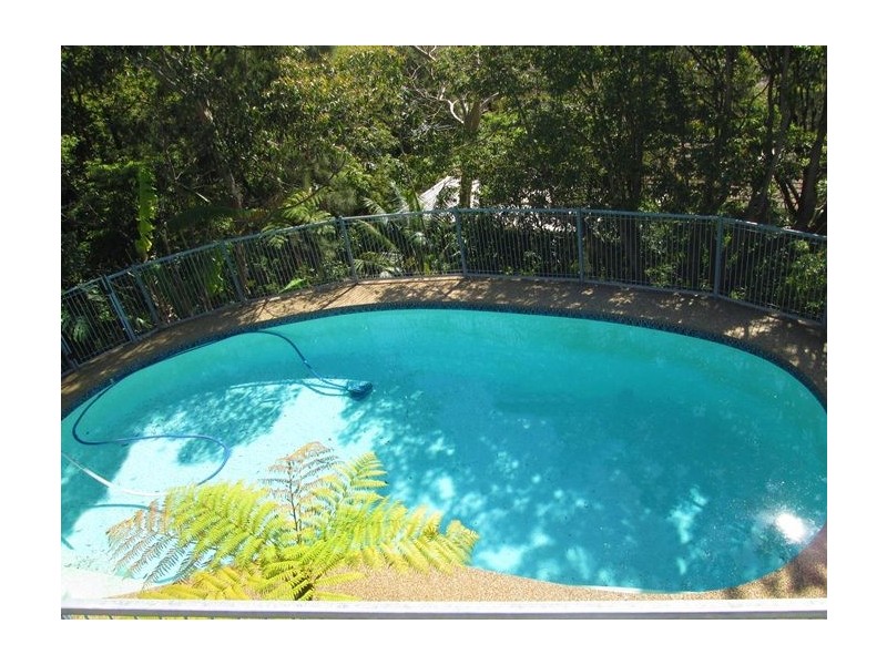 53 Curban Street, Balgowlah Heights NSW 2093