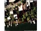 67 Seaforth Crescent, Seaforth NSW 2092