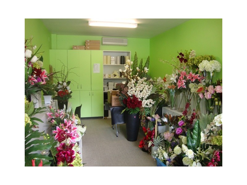 1/510 Sydney Road, Balgowlah NSW 2093