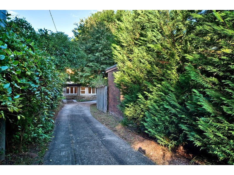 8 Boyle Street, Balgowlah NSW 2093