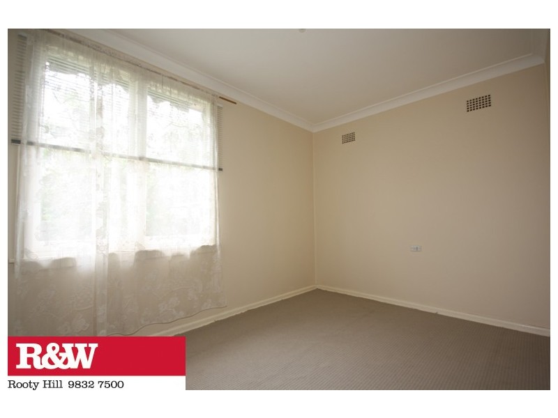 3 RIDDELL CRESCENT, Blackett NSW 2770