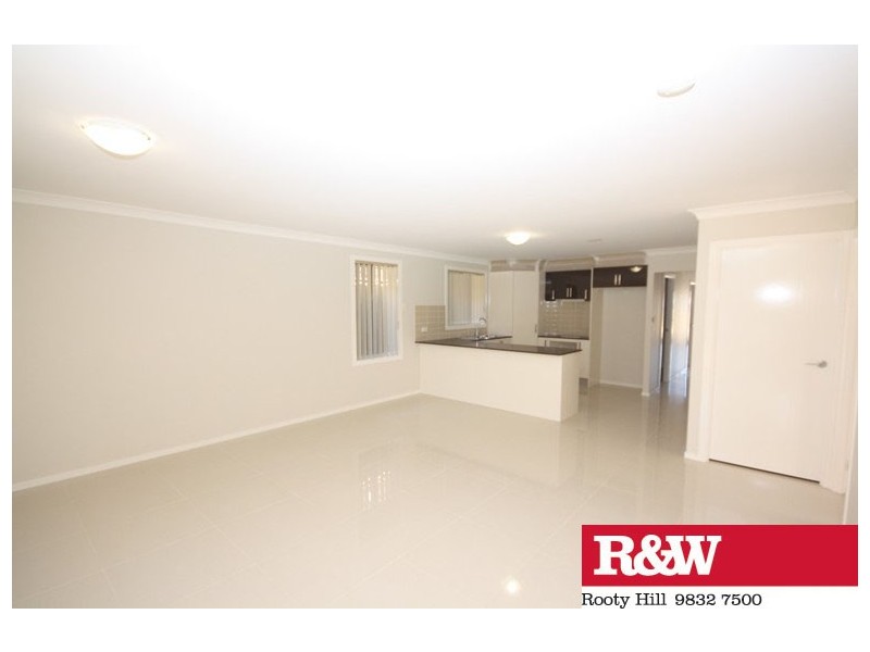 6 TWYNAM PLACE, Minto NSW 2566