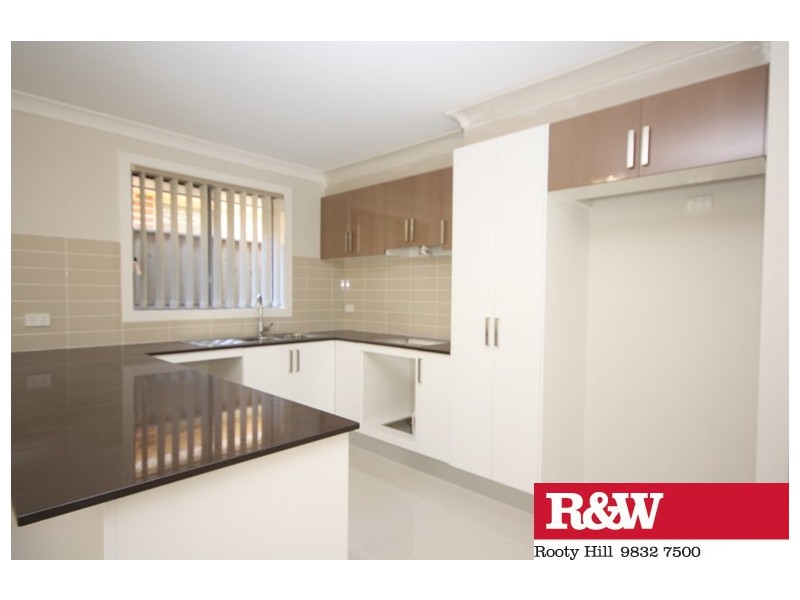 4 TWYNAM PLACE, Minto NSW 2566