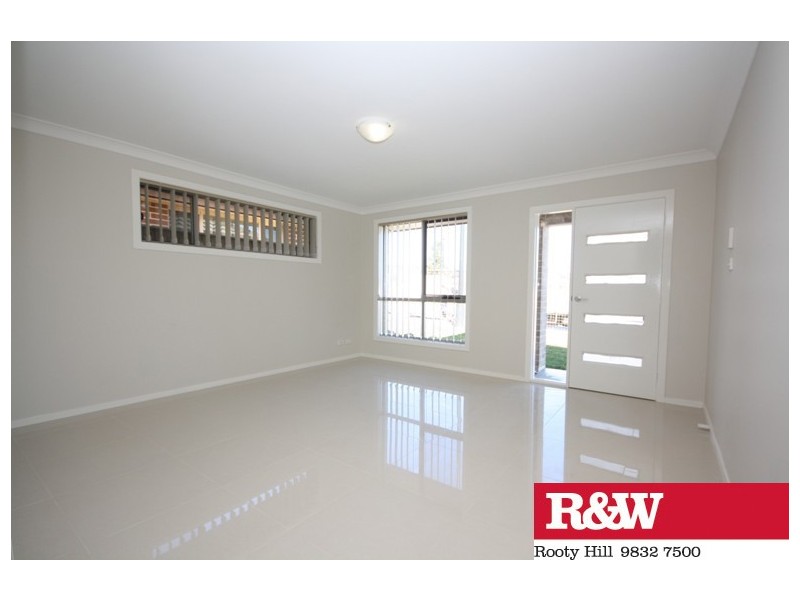 4 TWYNAM PLACE, Minto NSW 2566