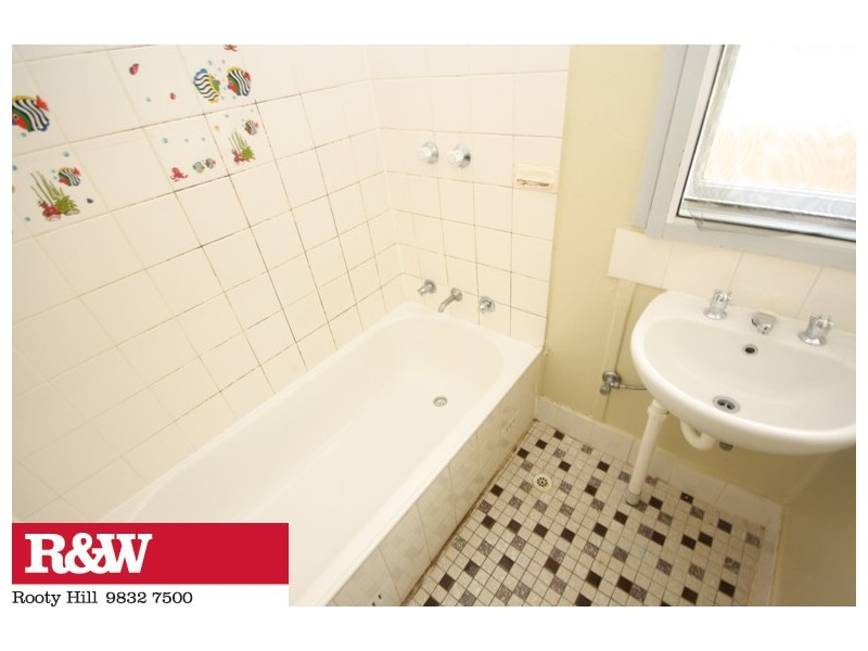 156 Carlisle Avenue, Blackett NSW 2770