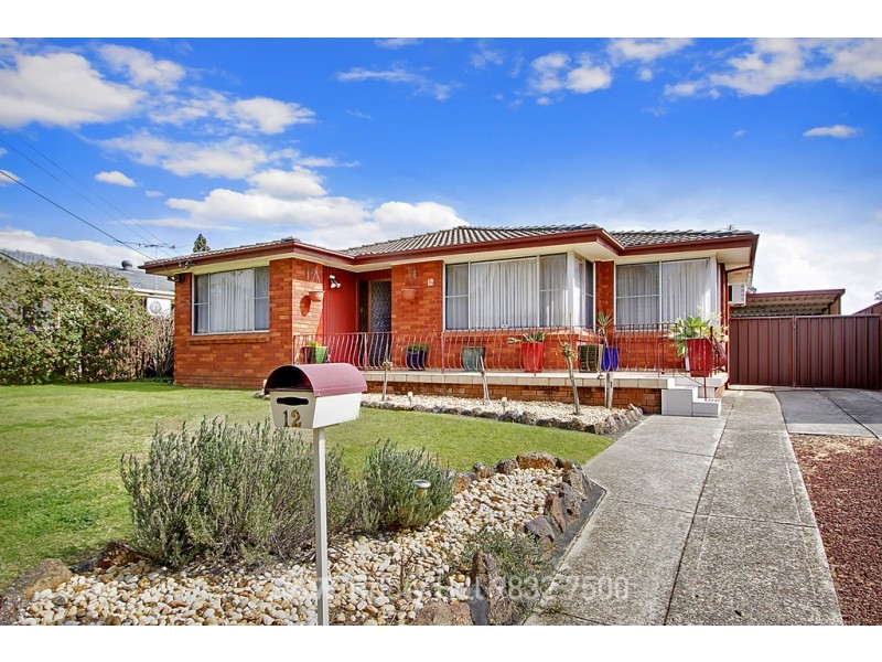 12 Alice Street, Rooty Hill NSW 2766