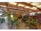 57 Nella Dan Avenue, Tregear NSW 2770