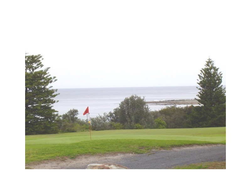 Shelly Beach NSW 2261