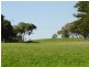 Shelly Beach NSW 2261