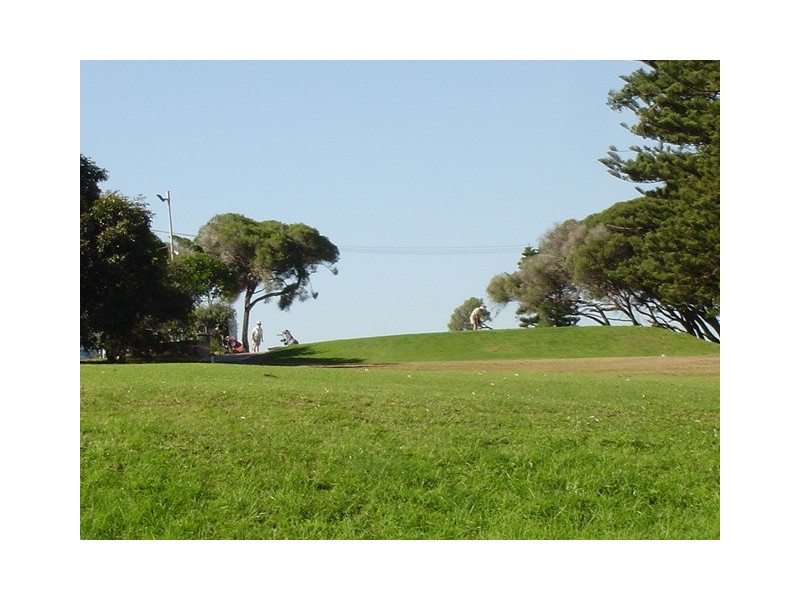 Shelly Beach NSW 2261