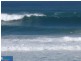 Shelly Beach NSW 2261