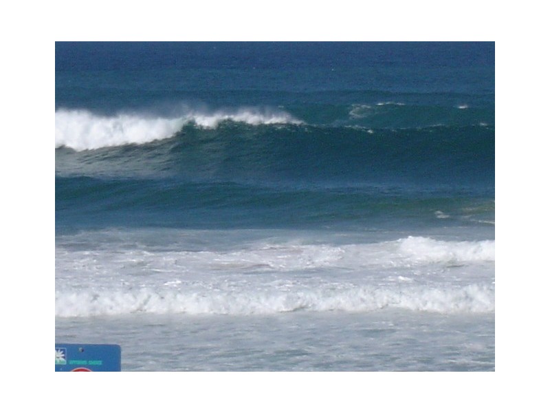 Shelly Beach NSW 2261