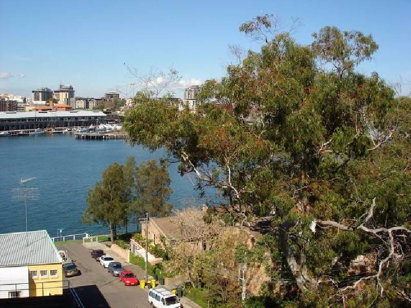 Balmain East NSW 2041