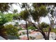 172 Short Street, Birchgrove NSW 2041