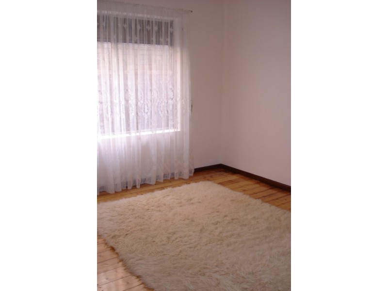 19 Seale Street, Leichhardt NSW 2040