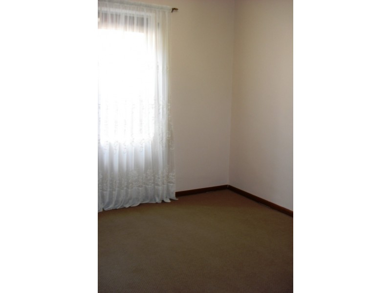 19 Seale Street, Leichhardt NSW 2040