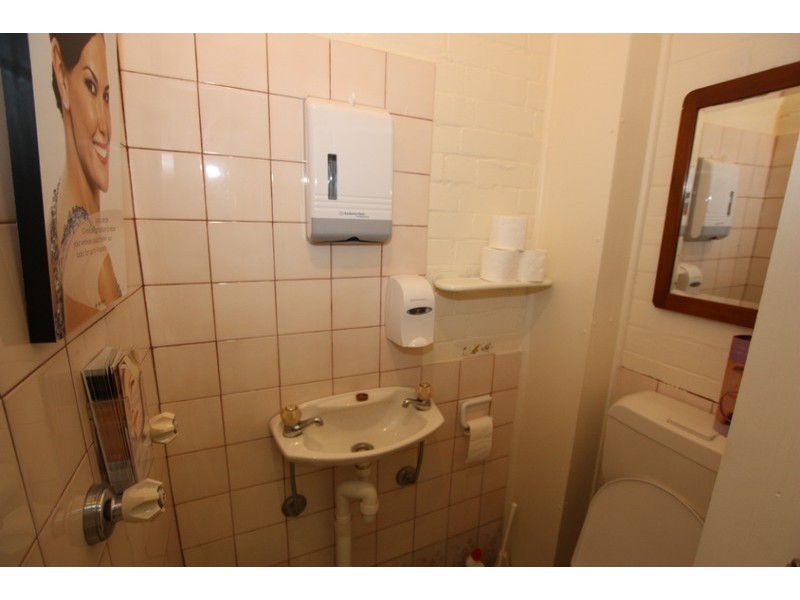17  Rowntree Street, Balmain NSW 2041
