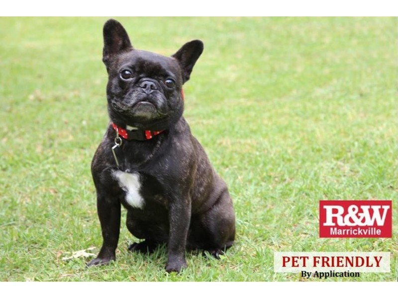 8/19 Myra Road, Dulwich Hill NSW 2203