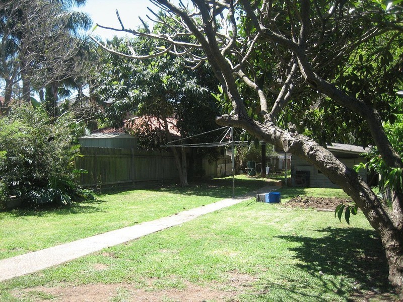 17 Garnet Street, Dulwich Hill NSW 2203