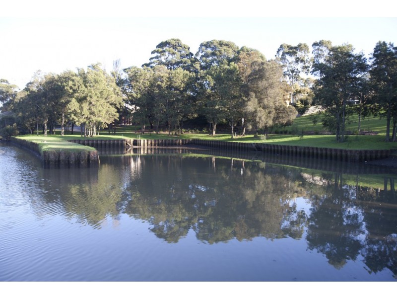 8 Acton Street, Hurlstone Park NSW 2193