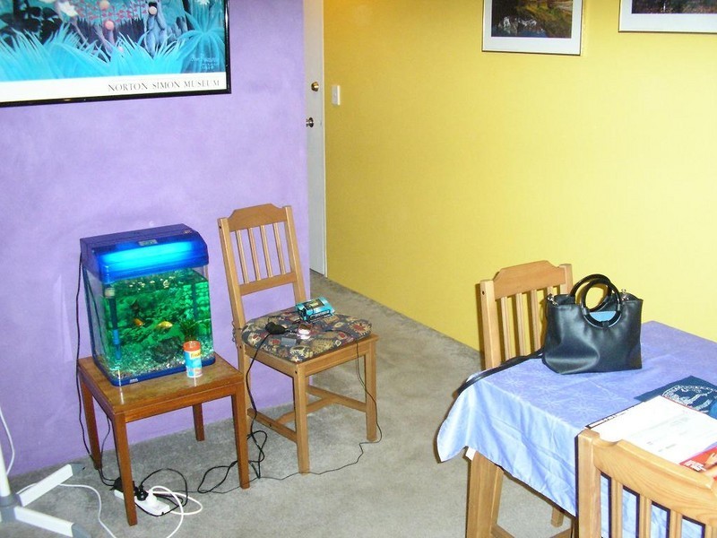 1/7  Hill Street, Marrickville NSW 2204