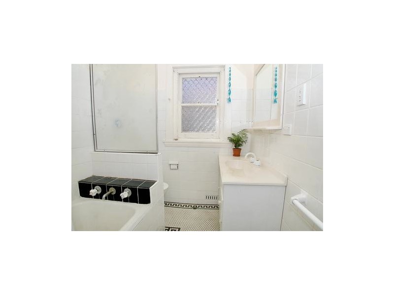 111 Crinan Street, Hurlstone Park NSW 2193