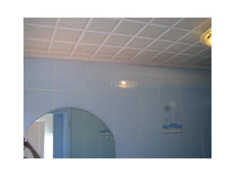 100 Edgeware Road, Enmore NSW 2042