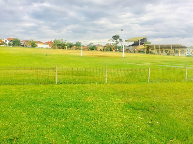 60 Stone Street, Earlwood NSW 2206