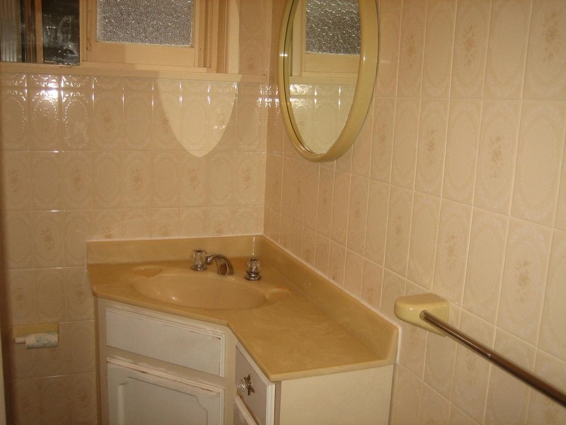 11 Robert Street, Canterbury NSW 2193