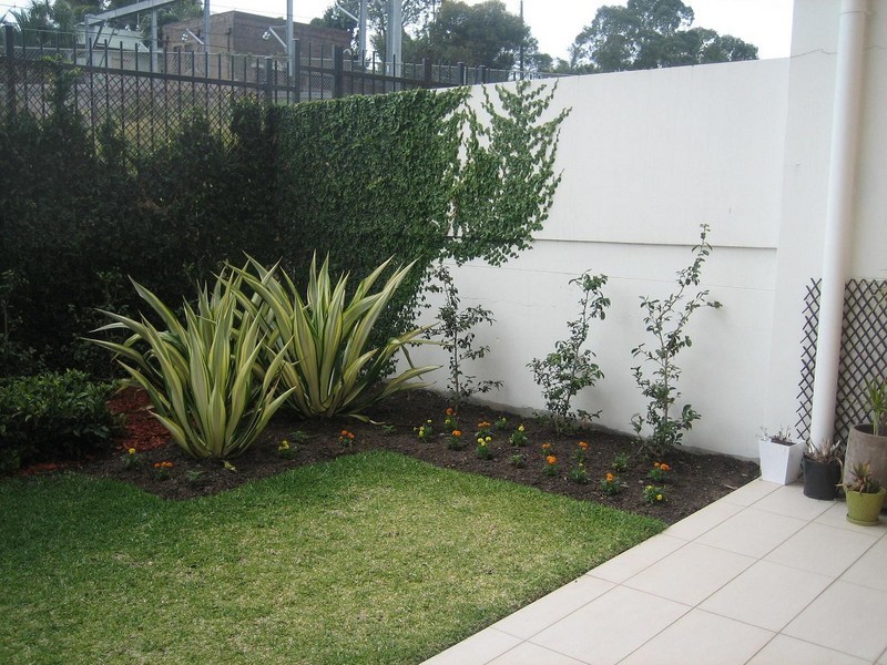 53/20 Close Street, Canterbury NSW 2193