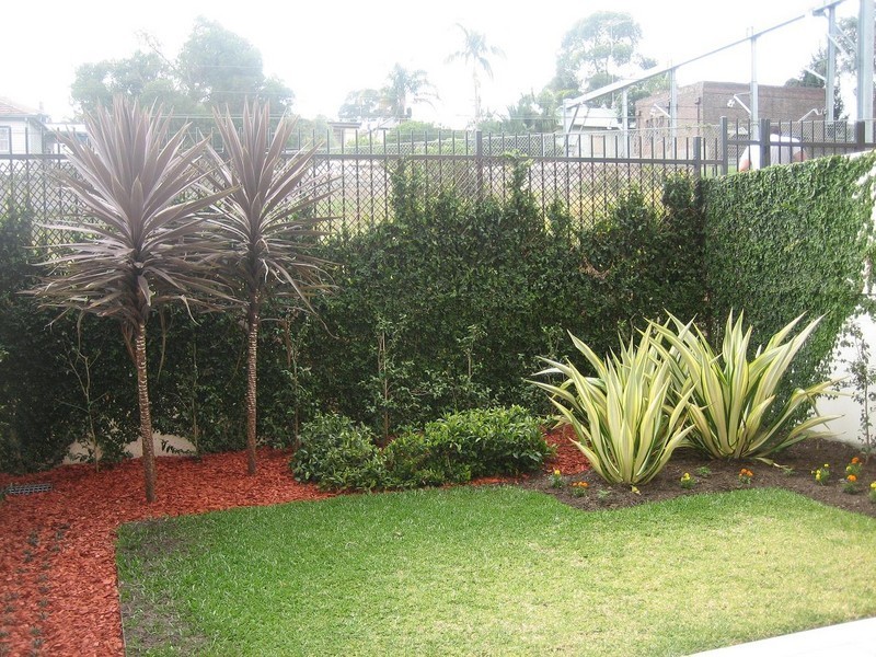 53/20 Close Street, Canterbury NSW 2193