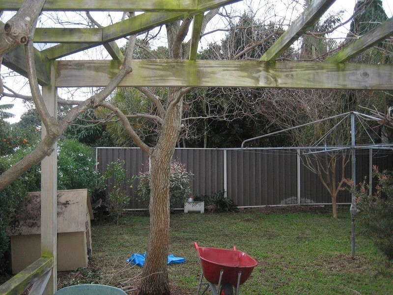 11 Burnett Street, Hurlstone Park NSW 2193