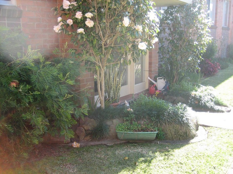 3/22 Ness Avenue, Dulwich Hill NSW 2203