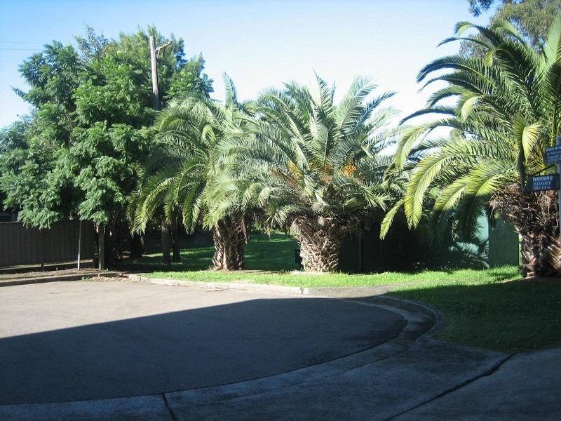 5/264 New Canterbury Road, Dulwich Hill NSW 2203