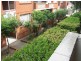 10/25A George Street, Marrickville NSW 2204