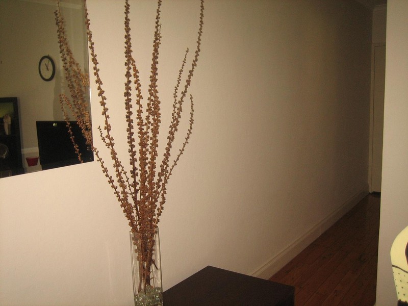 2/51A Woodcourt Street, Marrickville NSW 2204