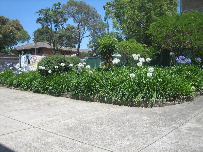 18/8-10  Terrace Road, Dulwich Hill NSW 2203