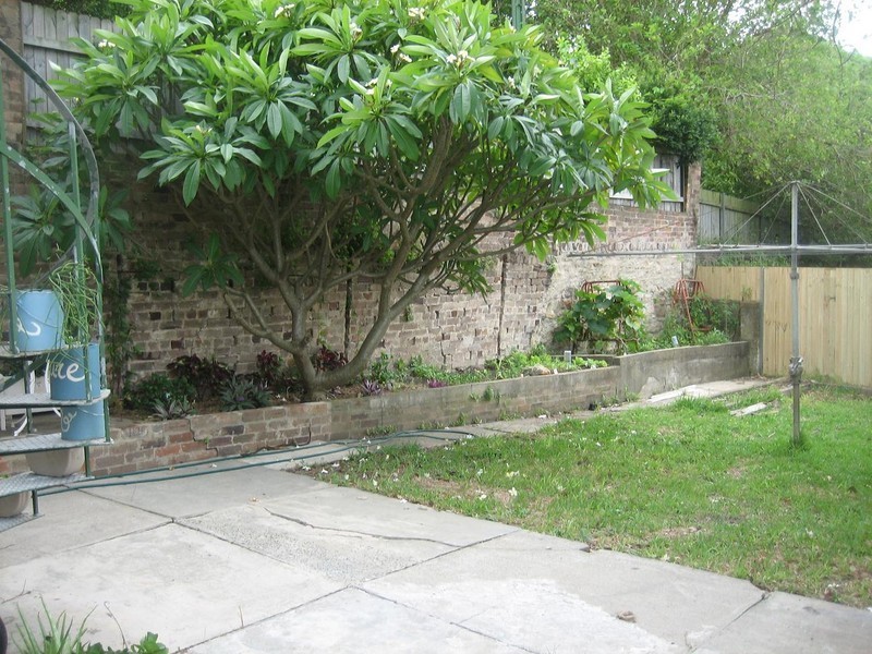 17  Wallace Street, Marrickville NSW 2204