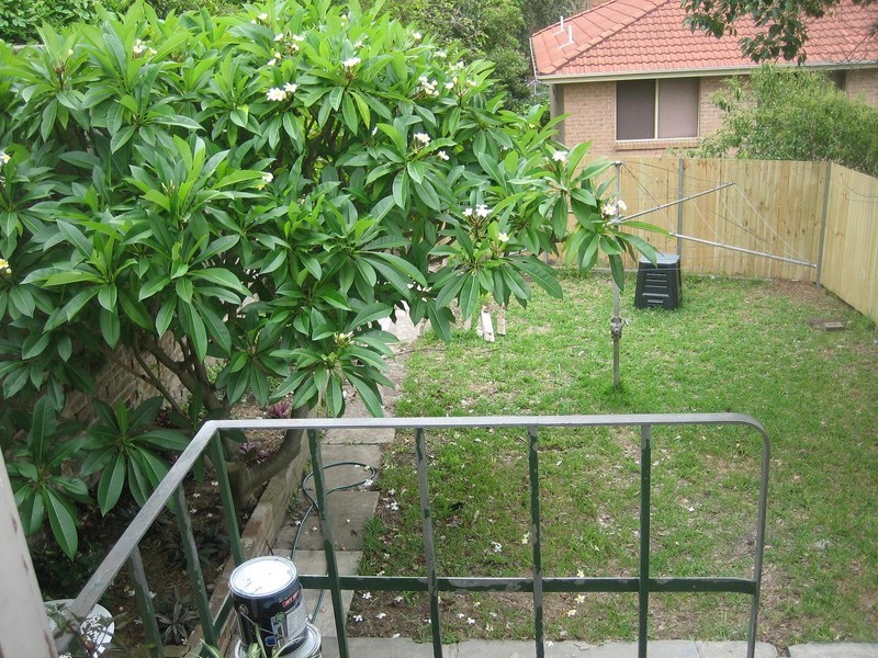 17  Wallace Street, Marrickville NSW 2204