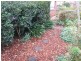 15 Gower Street, Hurlstone Park NSW 2193