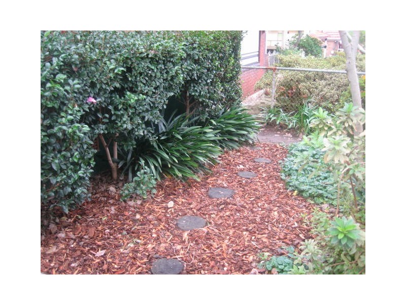 15 Gower Street, Hurlstone Park NSW 2193