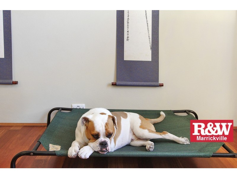 2/11 Woodcourt Street, Marrickville NSW 2204