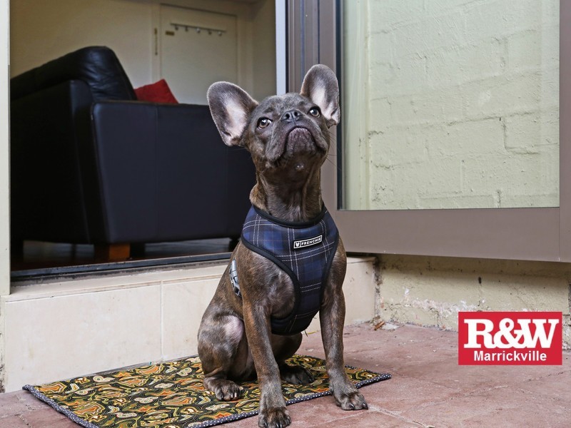 3/11 Woodcourt Street, Marrickville NSW 2204