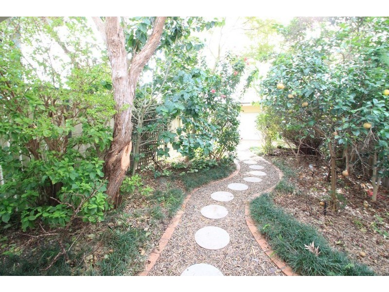 59 Frampton Avenue, Marrickville NSW 2204